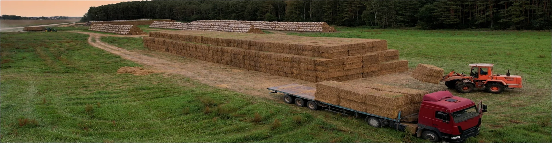 Livraison de foin à Saint-André-de-Sangonis : FOIN 34