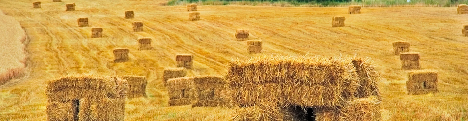 Vente de foin à Gigean - FOIN 34