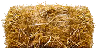 Foin 34 Vente De Foin Montpellier Vos Interrogations Nos Reponses Simples 1