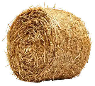 Foin 34 Vente De Foin Montpellier Foin 3