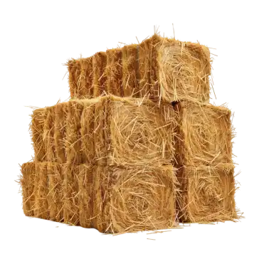 Foin 34 Vente De Foin Montpellier Foin 4