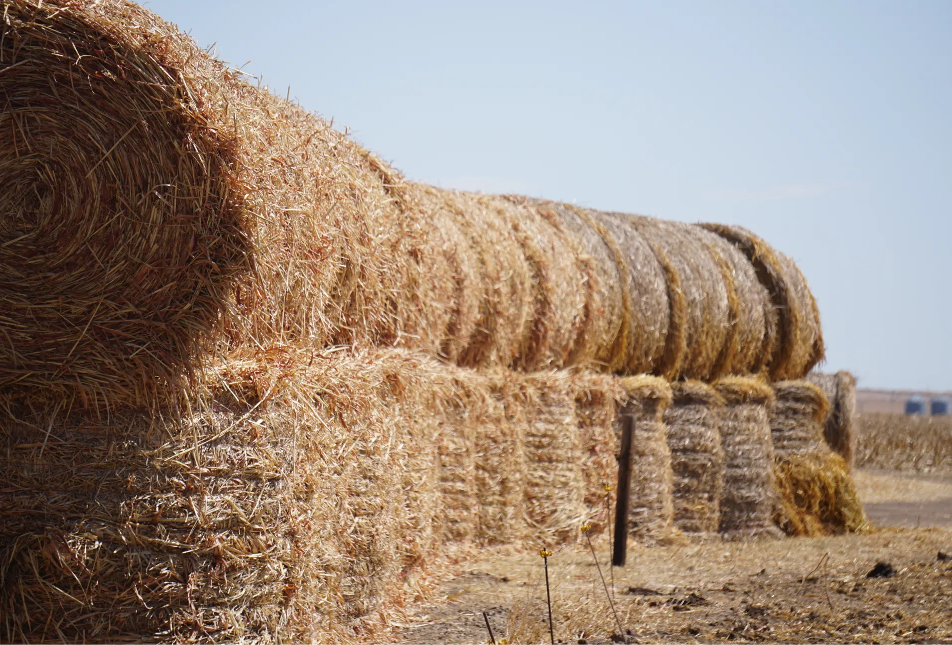 Paquets de foin empilés